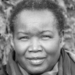 Chipo Shambare